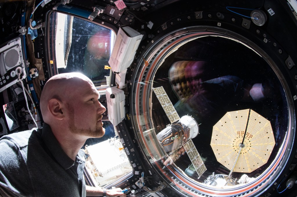 Expedition 57 Commander Alexander Gerst of ESA (European Space Agency) peers out the International Space Station's "window to the world," the seven-windowed cupola. Just outside the cupola are two spacecraft including the Soyuz MS-09 crew craft and Northrop Grumman's Cygnus cargo craft with one of its cymbal-shaped UltraFlex solar arrays featuring prominently in the frame.