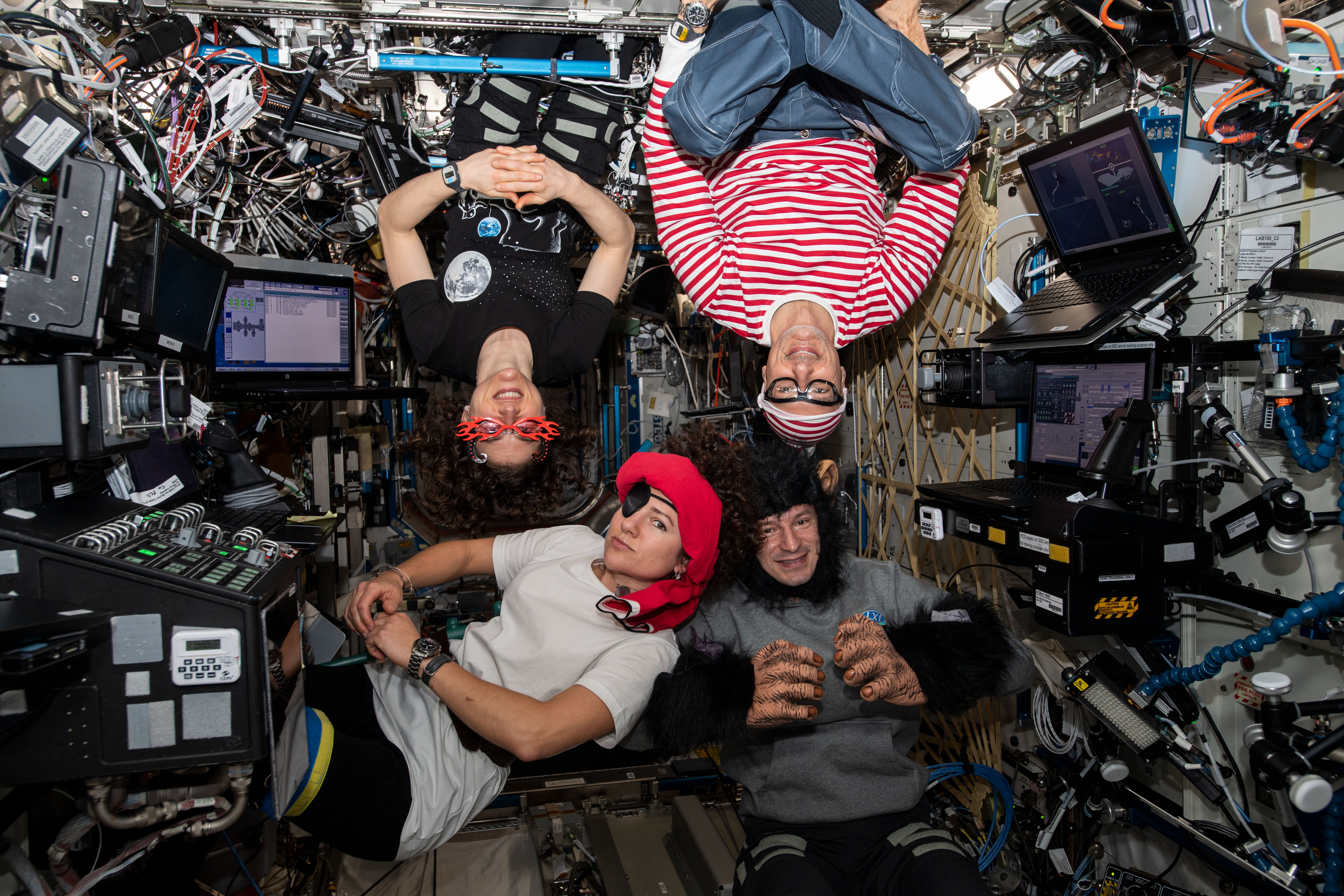 Expedition 61 astronauts (clockwise from top left) Christina Koch, Luca Parmitano, Andrew Morgan and Jessica Meir pose for a portrait in their Halloween costumes aboard the International Space Station.