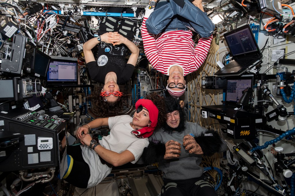 Expedition 61 astronauts (clockwise from top left) Christina Koch, Luca Parmitano, Andrew Morgan and Jessica Meir pose for a portrait in their Halloween costumes aboard the International Space Station.