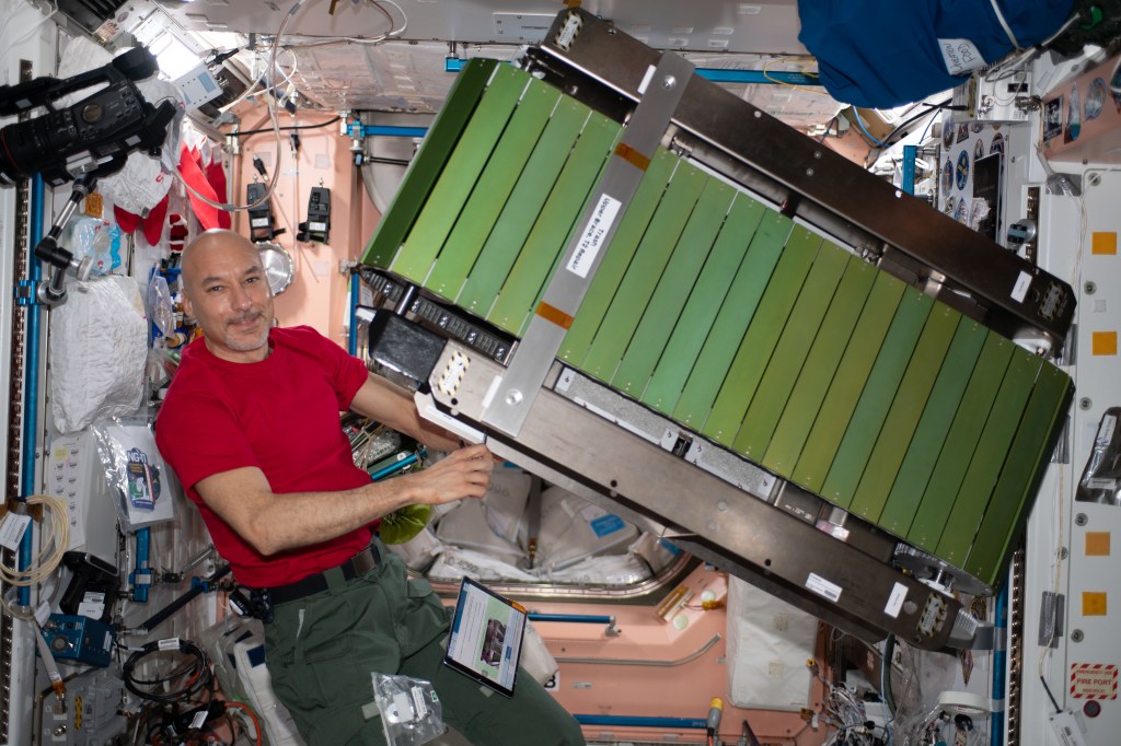 Expedition 61 Commander Luca Parmitano of ESA (European Space Agency) inspects a new treadmill that was launched aboard the Northrop Grumman Cygnus resupply ship.