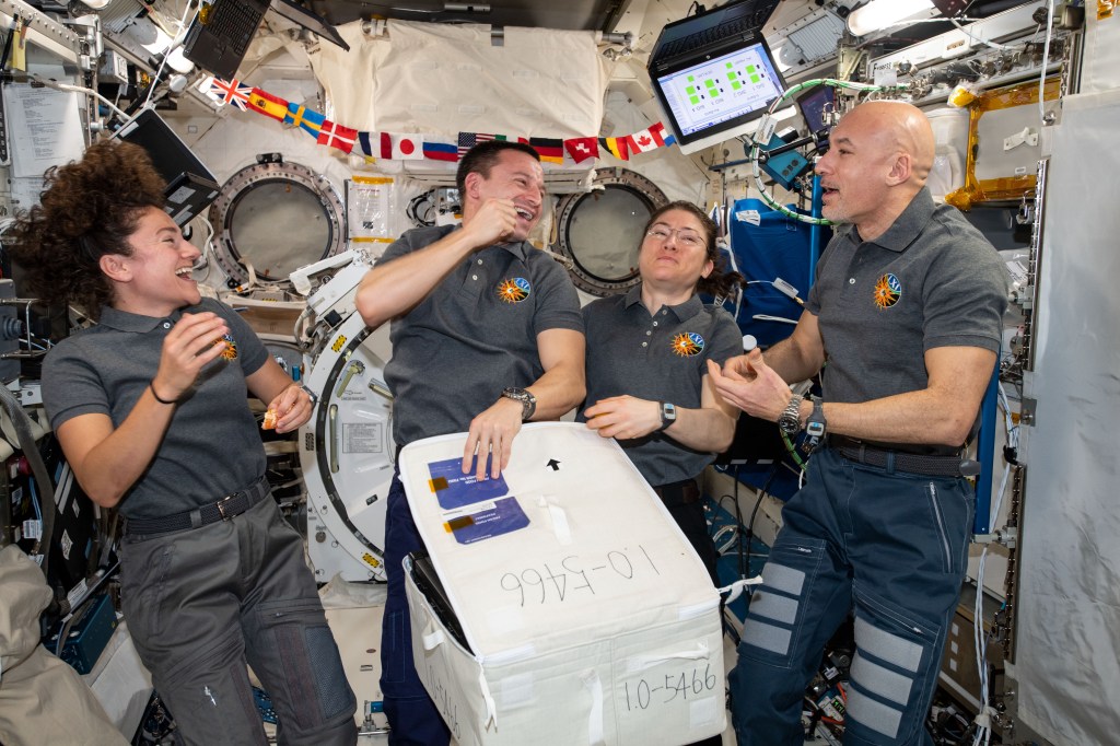 iss061e003995 (Oct. 7, 2019) --- Four Expedition 61 crew members open a stowage case packed with fresh fruit and other goodies delivered aboard Japan's HTV-8 cargo craft. From left are, NASA Flight Engineers Jessica Meir, Andrew Morgan and Christina Koch with Commander Luca Parmitano of ESA (European Space Agency).