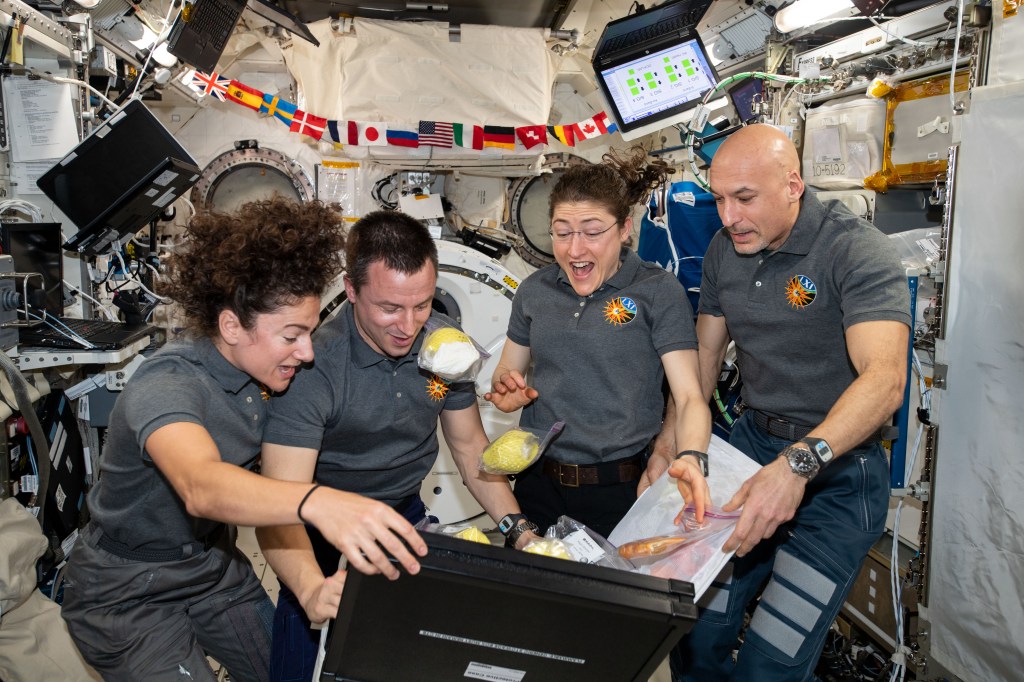 Four Expedition 61 crew members unpack fresh fruit and other goodies from a stowage bag delivered aboard Japan's HTV-8 cargo craft. From left are, NASA Flight Engineers Jessica Meir, Andrew Morgan and Christina Koch with Commander Luca Parmitano of ESA (European Space Agency).