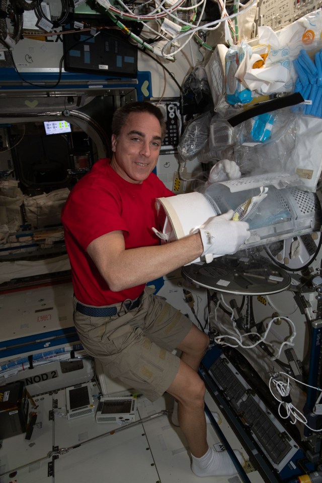 NASA astronaut and Expedition 63 Commander Chris Cassidy prepares to stow biological samples for preservation inside a science freezer also known as MELFI, or Minus Eighty-Degree Laboratory Freezer for International Space Station, for later analysis.