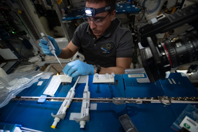 NASA astronaut and Expedition 63 Commander Chris Cassidy works inside the International Space Station's Harmony module servicing microbial DNA samples for sequencing and identification.