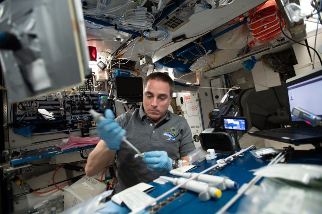 NASA astronaut and Expedition 63 Commander Chris Cassidy works inside the International Space Station's Harmony module servicing microbial DNA samples for sequencing and identification.