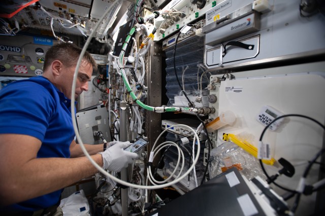 NASA astronaut and Expedition 63 Commander Chris Cassidy services the Veggie botanical research facility inside the Columbus laboratory module from the European Space Agency.