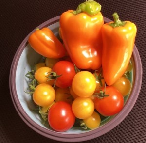 Fresh tomatoes and peppers grown from inside the CHAPEA habitat. Credit: NASA