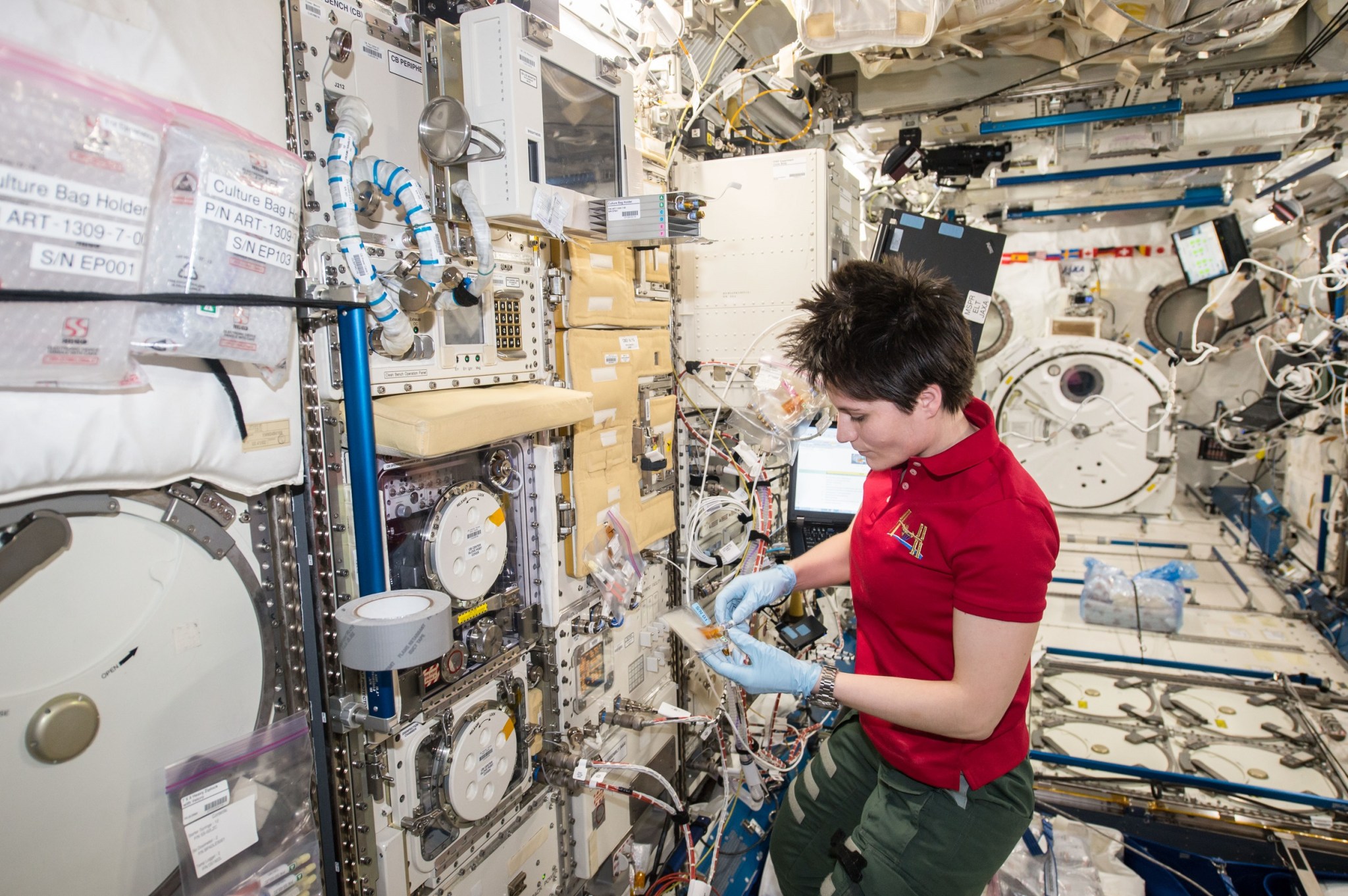 ESA astronaut Samantha Cristoforetti prepares samples for the Epigenetics experiment. Credits: NASA Alt text: Cristoforetti wears a red short-sleeved shirt, olive green pants, and light blue gloves. She is holding a plastic pouch connected by a tube to a panel on the wall of the space station that has multiple cords and displays. The walls around her other devices, cords, and screens.