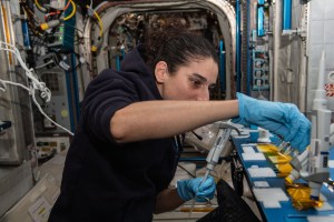 NASA astronaut and Expedition 70 Flight Engineer Jasmin Moghbeli sequences DNA samples for the BioMole study demonstrating hardware that can analyze microbes to protect crew health and spacecraft life support systems.