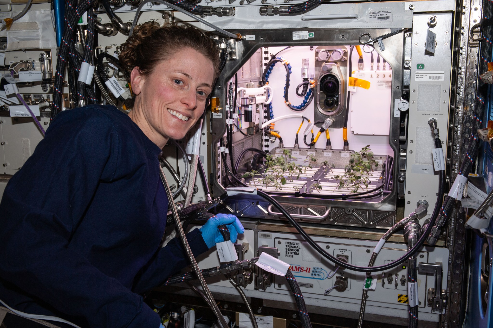 O'Hara is wearing a blue sweatshirt and light blue gloves and smiling at the camera. She has one hand on a tube connected to a large metal box that is lighted inside. The front of the box is open and inside multiple rows of small green plants are visible.