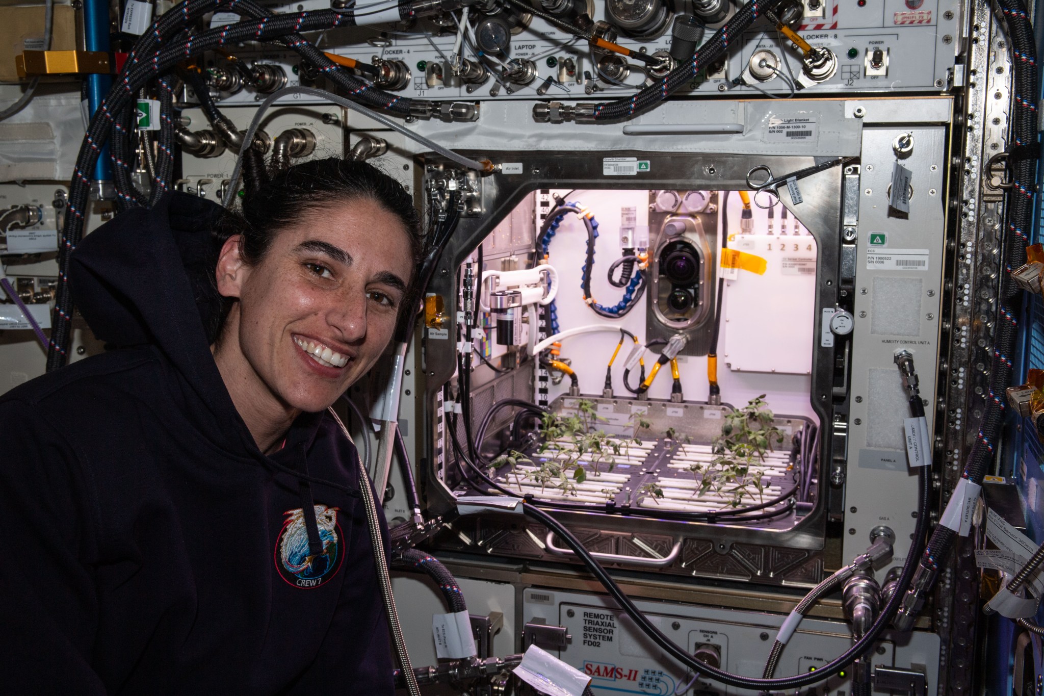 Moghbeli, wearing a dark blue hooded sweatshirt, smiles at the camera. Next to her is an open, cube-shaped plant growth facility, with small tomato seedlings growing in multiple rows on the bottom. Multiple hoses and cords are visible on the back and sides of the facility, which is brightly lit.
