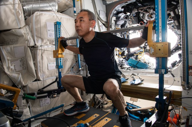 Furukawa wears a black t-shirt and shorts and tennis shoes. His feet are on a black panel and he is squatting, holding on to a silver bar behind his shoulders. The bar is attached to blue metal poles on either side of him.