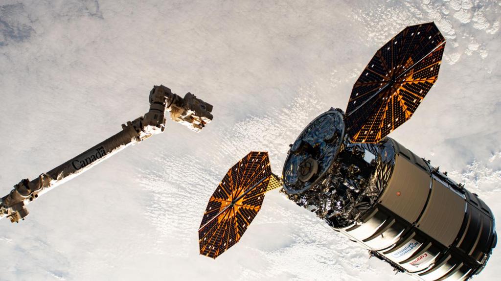 Northrop Grumman's Cygnus cargo craft with its prominent cymbal-shaped UltraFlex solar arrays, is pictured awaiting its capture by the Canadarm2 robotic arm.