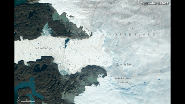A Landsat 8 image from Sept. 4, 2022, shows Jakobshavn Isbrae breaking at its edge. A recent study found that from 1985 to 2022 the Greenland Ice Sheet shed about 1,140 billion tons (1,034 billion metric tons) – one-fifth more mass than previously estimated.