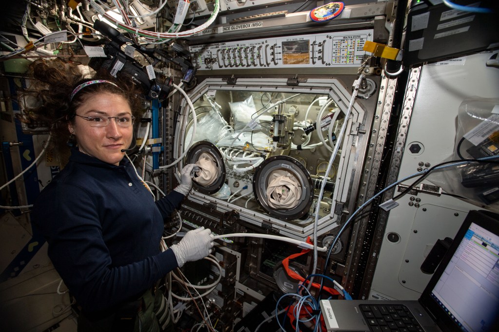 NASA astronaut Christina Koch performs science operations in the Microgravity Science Glovebox for the Ring Sheared Drop human health and advanced materials investigation.