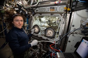 NASA astronaut Christina Koch performs science operations in the Microgravity Science Glovebox for the Ring Sheared Drop human health and advanced materials investigation.