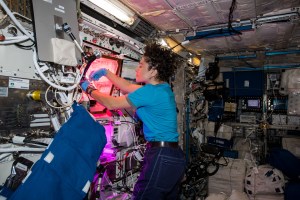 NASA astronaut Jessica Meir trims leaves and harvests a crop of Mizuna mustard greens grown inside the International Space Station's Veggie botany facility located in the Columbus laboratory module.