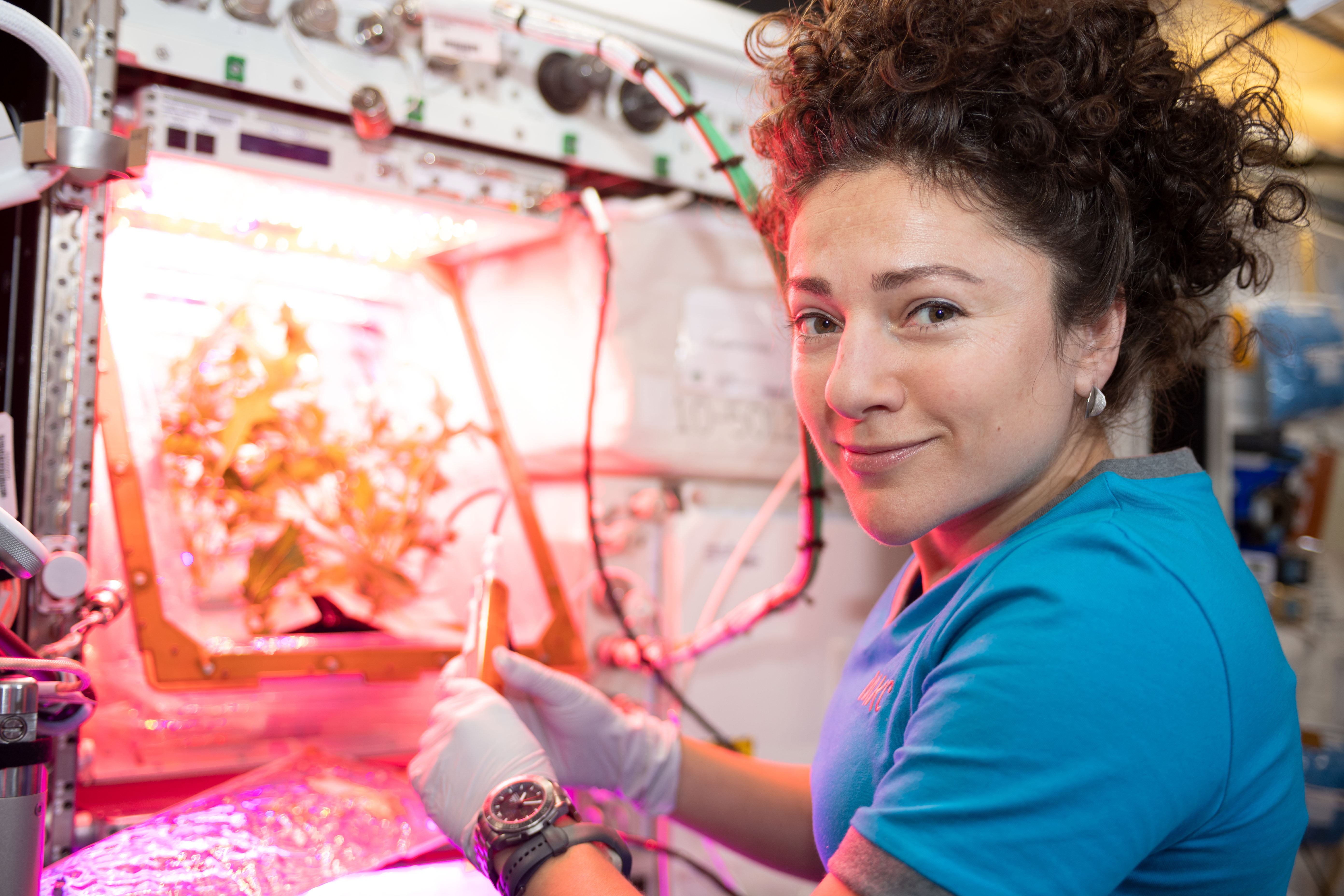 NASA astronaut Jessica Meir waters plant pillows where Mizuna mustard greens are raised as part of the Veg-04B experiment. This investigation is part of a phased research project to address the need for a continuous fresh food production system in space and focuses on the effects of light quality and fertilizer on a leafy crop. Taste is assessed by the crew.