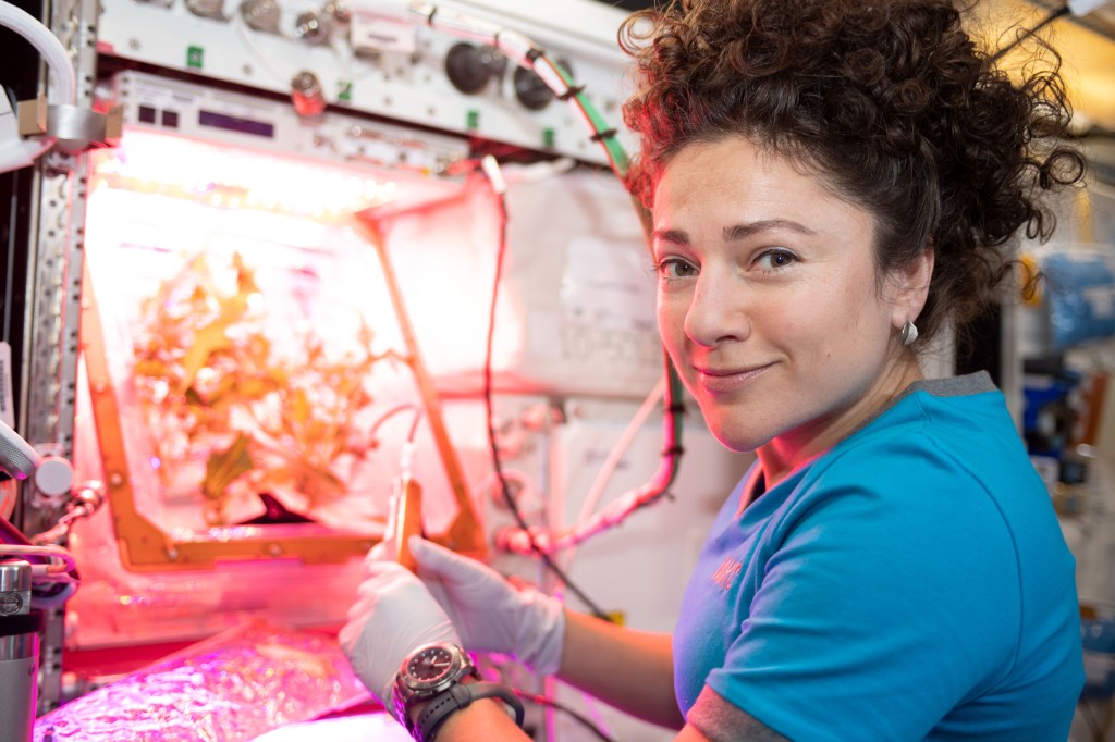 NASA astronaut Jessica Meir waters plant pillows where Mizuna mustard greens are raised as part of the Veg-04B experiment. This investigation is part of a phased research project to address the need for a continuous fresh food production system in space and focuses on the effects of light quality and fertilizer on a leafy crop. Taste is assessed by the crew.