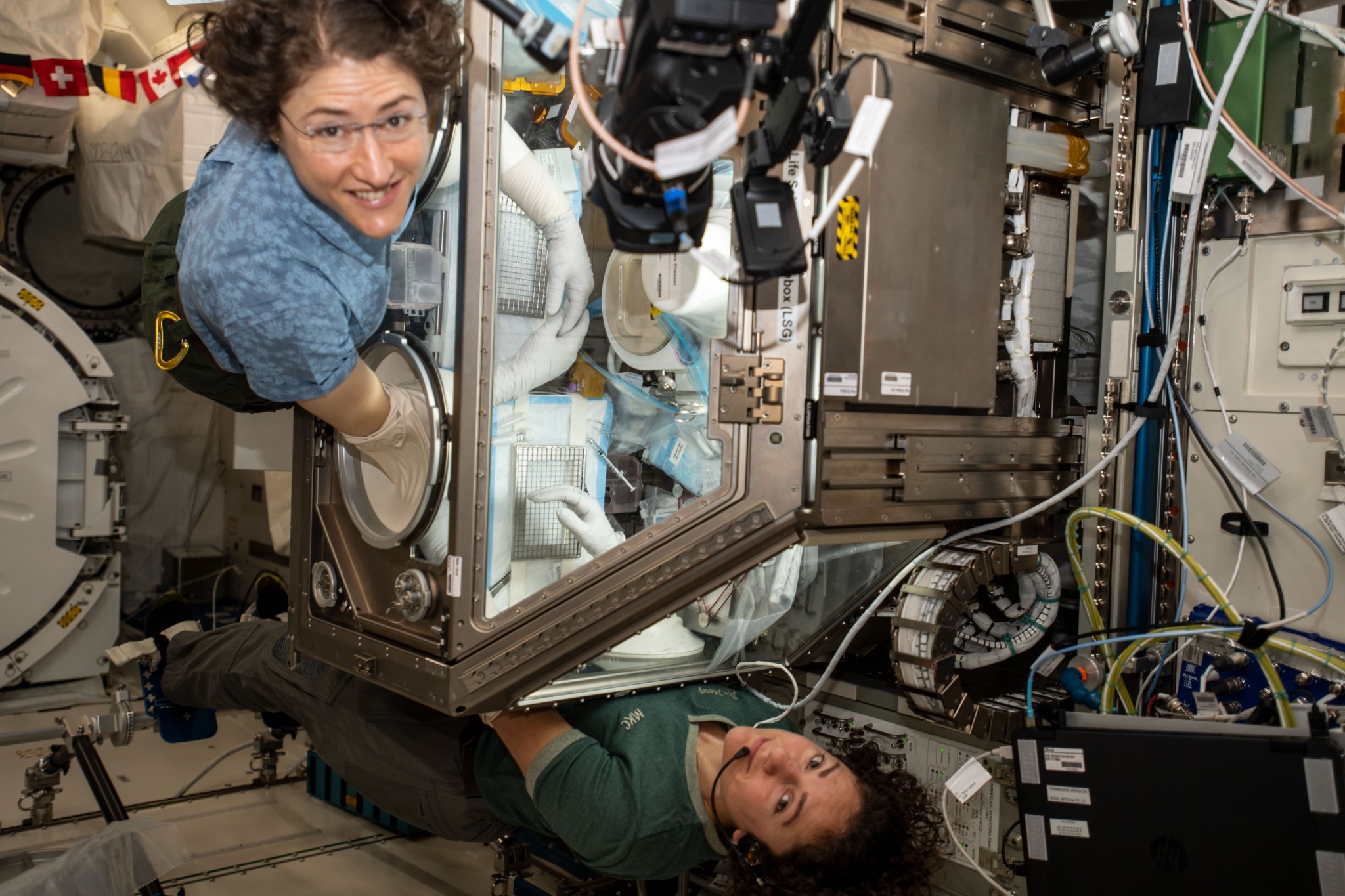 NASA astronauts (from top) Christina Koch and Jessica Meir conduct research operations inside the Japanese Kibo lab module's Life Sciences Glovebox. The Expedition 61 flight engineers were studying mice for the Rodent Research-14 investigation, which observes how microgravity affects the body on a cellular and organ level.