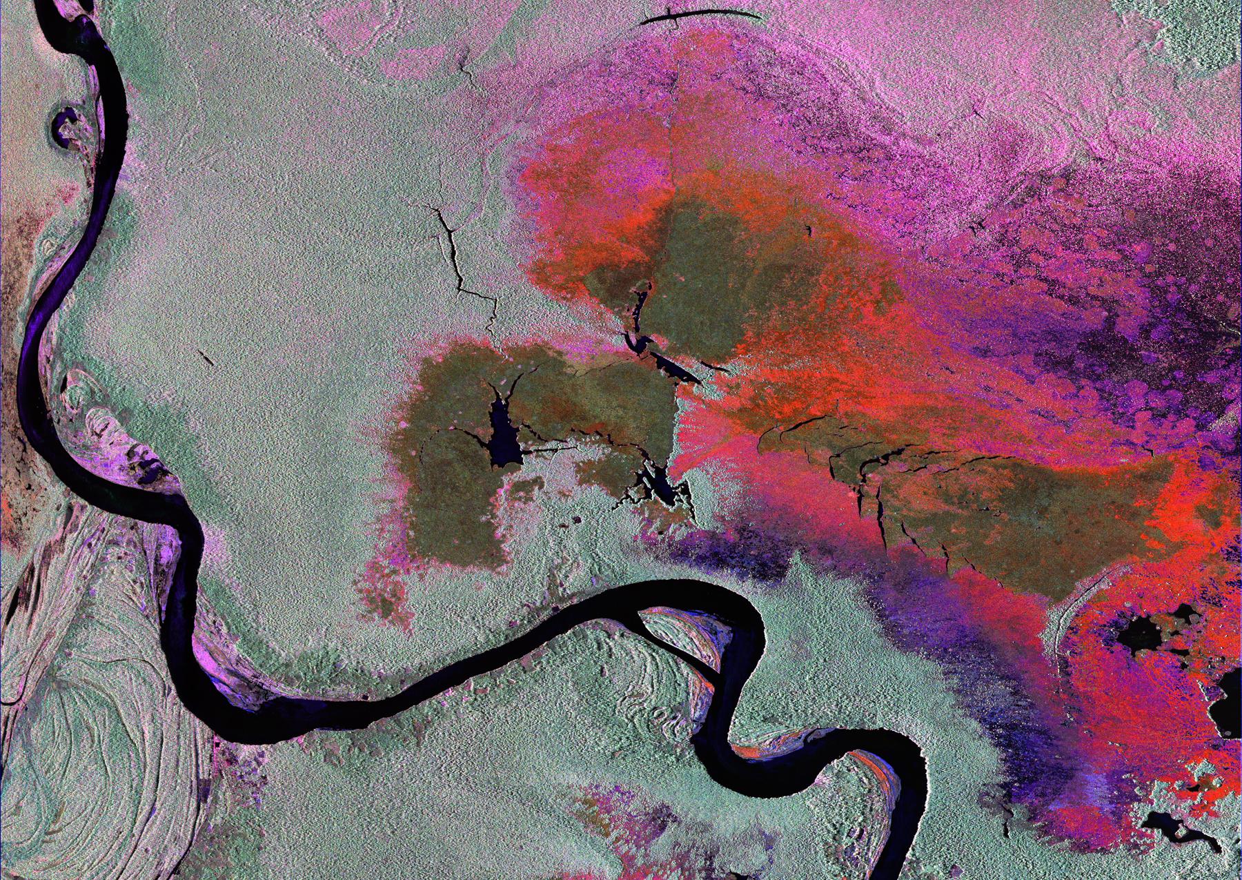 Radar Image of Amazonian Flooding