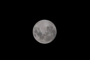iss068e027781 (Dec. 7, 2022) --- The Moon is pictured the day before its Full Moon phase from the International Space Station as it orbited 269 miles above the southern Indian Ocean. At the time of this photograph the Orion vehicle on the Artemis I mission was 234,100 miles from Earth and 127,700 miles from the Moon, cruising at 820 miles per hour.