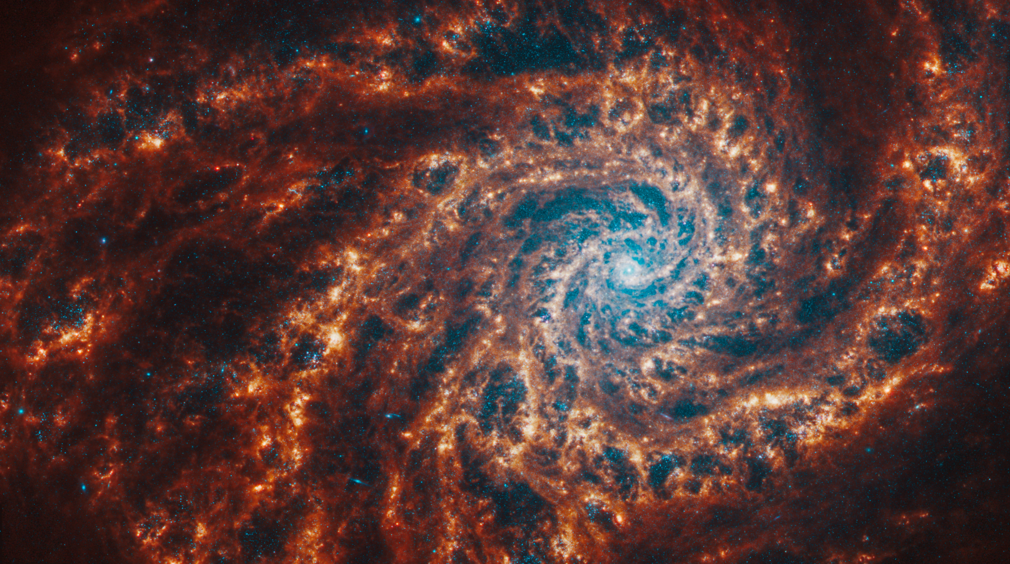 Webb’s image of NGC 4254 shows a densely populated face-on spiral galaxy anchored by its central region, which has a light blue haze that takes up about a quarter of the view. In this circular core is the brightest blue area. Within the core are populations of older stars, represented by many pinpoints of blue light. Spiny spiral arms made of stars, gas, and dust also start at the center, largely starting in the wider area of the blue haze. The spiral arms extend to the edges, rotating counterclockwise. The spiraling filamentary structure looks somewhat like a cross section of a nautilus shell. The arms of the galaxy are largely orange, ranging from dark to bright orange. Scattered across the packed scene are some additional bright blue pinpoints of light, which are stars spread throughout the galaxy. In areas where there is less orange, it is darker, and some dark regions look more circular.