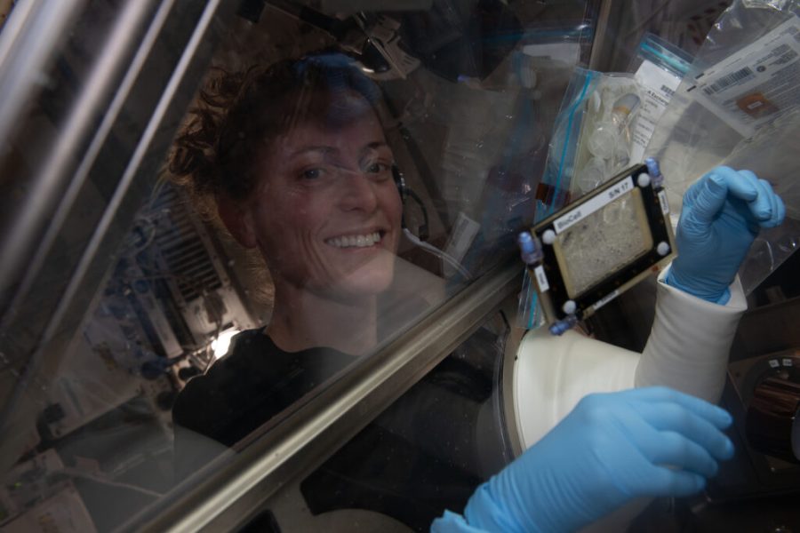NASA astronaut and Expedition 70 Flight Engineer Loral O'Hara works on a bone cell study inside the Life Science Glovebox located inside the International Space Station's Kibo laboratory module. OâHara was working on the Microgravity Associated Bone Loss-A investigation that may provide a better understanding of space-caused bone loss and aging-related bone conditions on Earth.