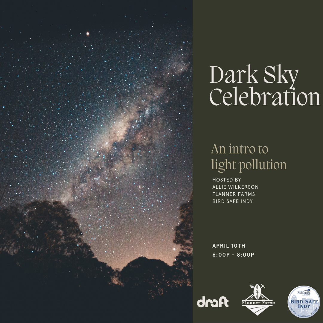 Dark sky celebration with text and night sky.