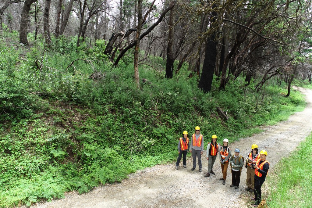 Students and staff from the SJSU Geofly Lab and the Wilkin Fire Ecology Lab conduct aerial remote sensing and fire modeling in the San Vicente Redwoods for a post-burn fuel management project. Pictured are Julia Gaudinski, Bo Yang, Kate Wilkin, Henri Brillion, Xiangyu Ren, and Melina Kompella.