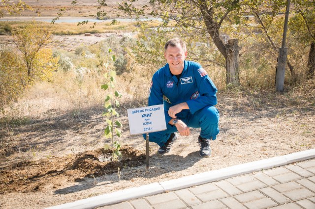 Expedition 57 crew member Nick Hague of NASA poses for a picture with the tree that he planted in his name as part of the traditional pre-flight activities for first-time fliers, Wednesday, Oct. 3, 2018 at the Cosmonaut Hotel in Baikonur, Kazakhstan. Hague and Alexey Ovchinin of Roscosmos are scheduled to launch on Oct. 11 onboard the Soyuz MS-10 spacecraft from the Baikonur Cosmodrome in Kazakhstan for a six-month mission on the International Space Station.