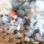 FireSage controlled burn.