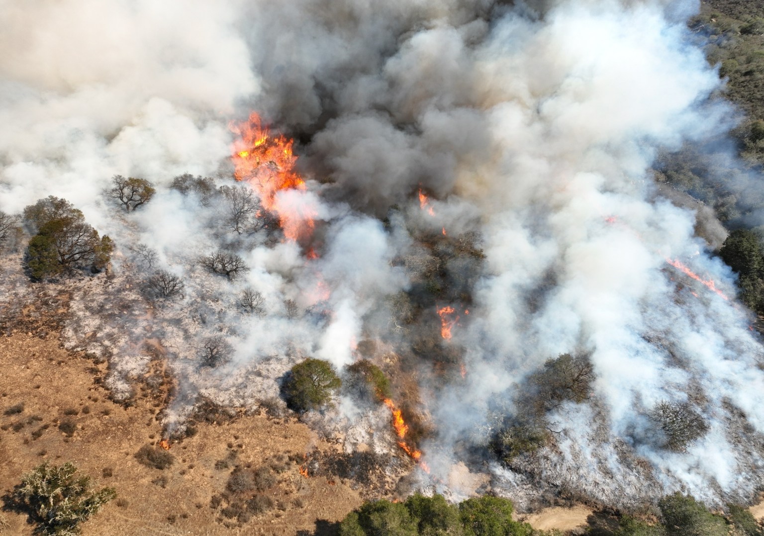 FireSage controlled burn.