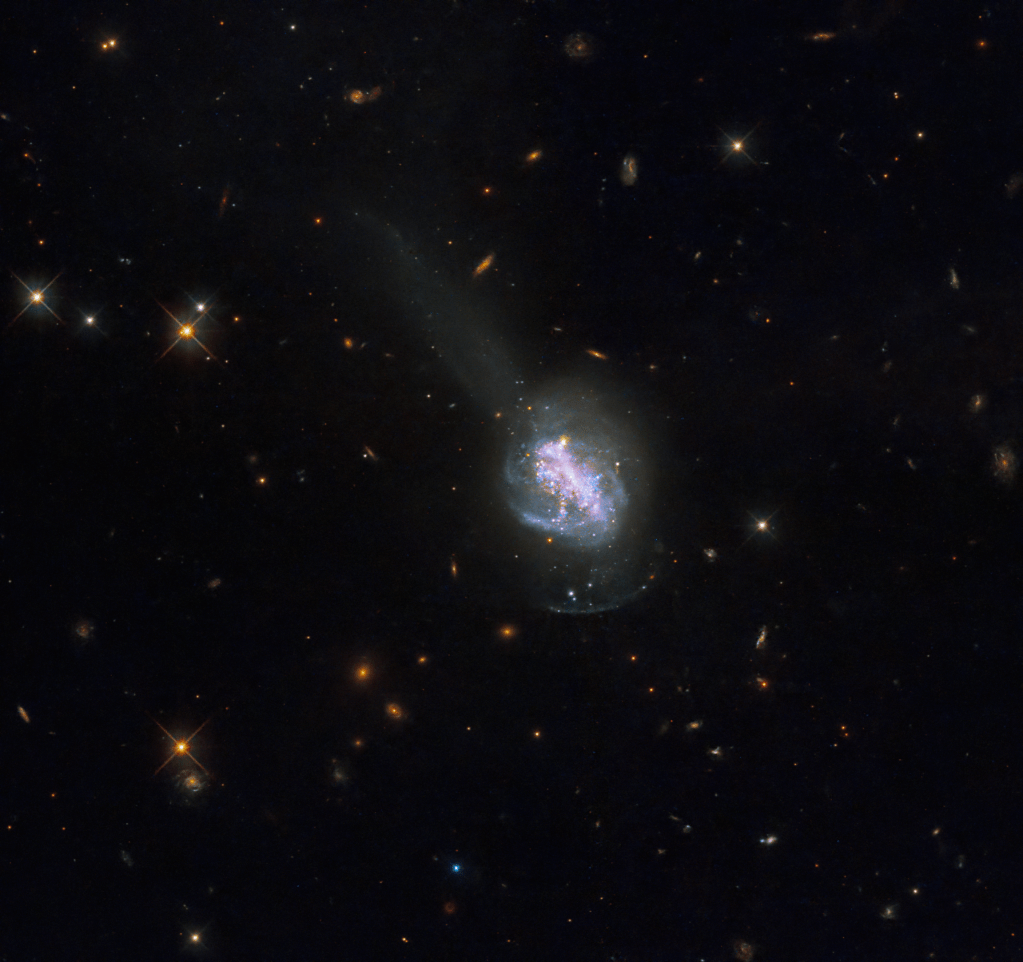 This new NASA Hubble Space Telescope image shows ESO 185-IG013, a luminous blue compact galaxy (BCG). BCGs are nearby galaxies that show an intense burst of star formation. They are unusually blue in visible light, which sets them apart from other high-starburst galaxies that emit more infrared light.