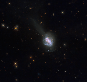 This new NASA Hubble Space Telescope image shows ESO 185-IG013, a luminous blue compact galaxy (BCG). BCGs are nearby galaxies that show an intense burst of star formation. They are unusually blue in visible light, which sets them apart from other high-starburst galaxies that emit more infrared light.