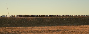 Invited guests, tourists and officials watch as the Soyuz rocket is rolled out by train to the launch pad, Tuesday, Oct. 9, 2018 at the Baikonur Cosmodrome in Kazakhstan. Expedition 57 crewmembers Nick Hague of NASA and Alexey Ovchinin of Roscosmos are scheduled to launch on October 11 and will spend the next six months living and working aboard the International Space Station.