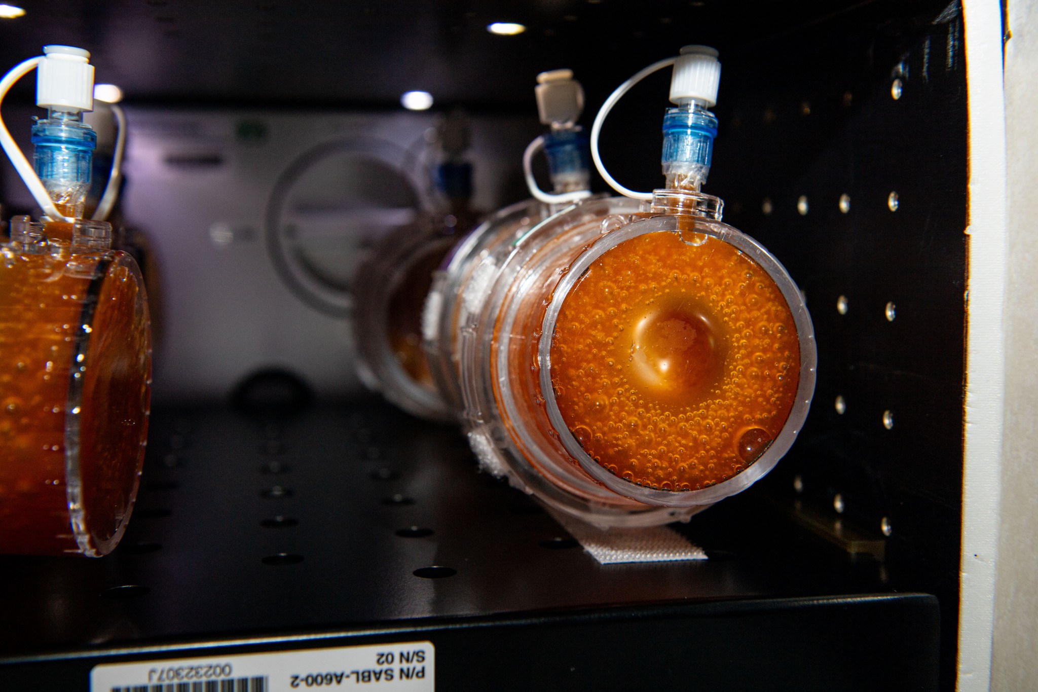 Four small clear, cylindrical containers are attached by Velcro inside a black box. The containers each hold an orange bubbly liquid.