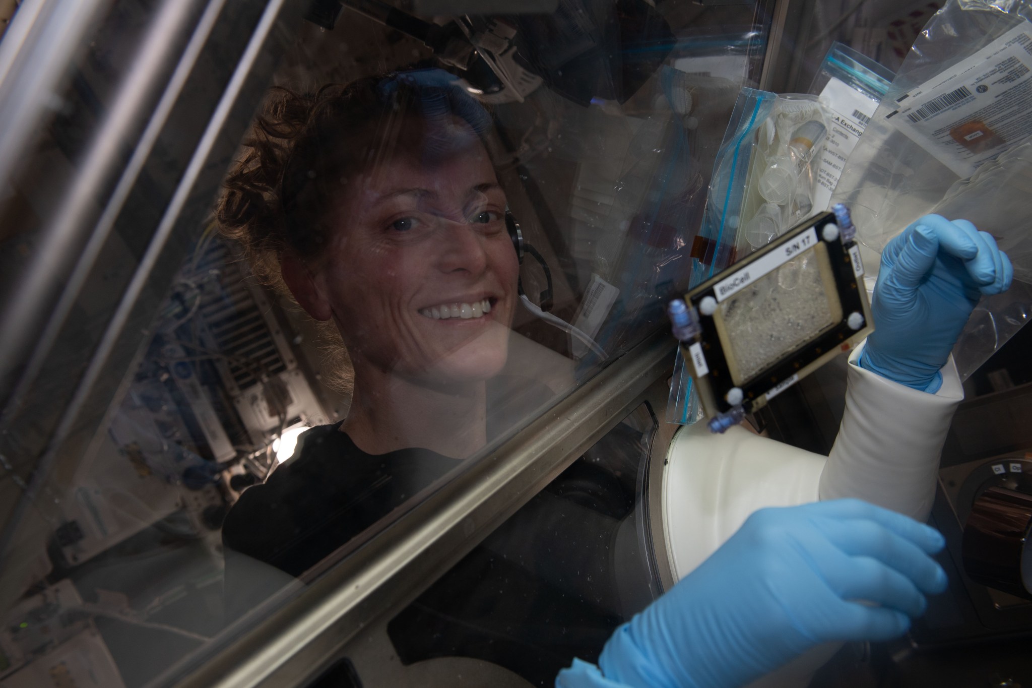 NASA astronaut and Expedition 70 Flight Engineer Loral O'Hara works on a bone cell study inside the Life Science Glovebox located inside the International Space Station's Kibo laboratory module. O'Hara was working on the Microgravity Associated Bone Loss-A investigation that may provide a better understanding of space-caused bone loss and aging-related bone conditions on Earth.
