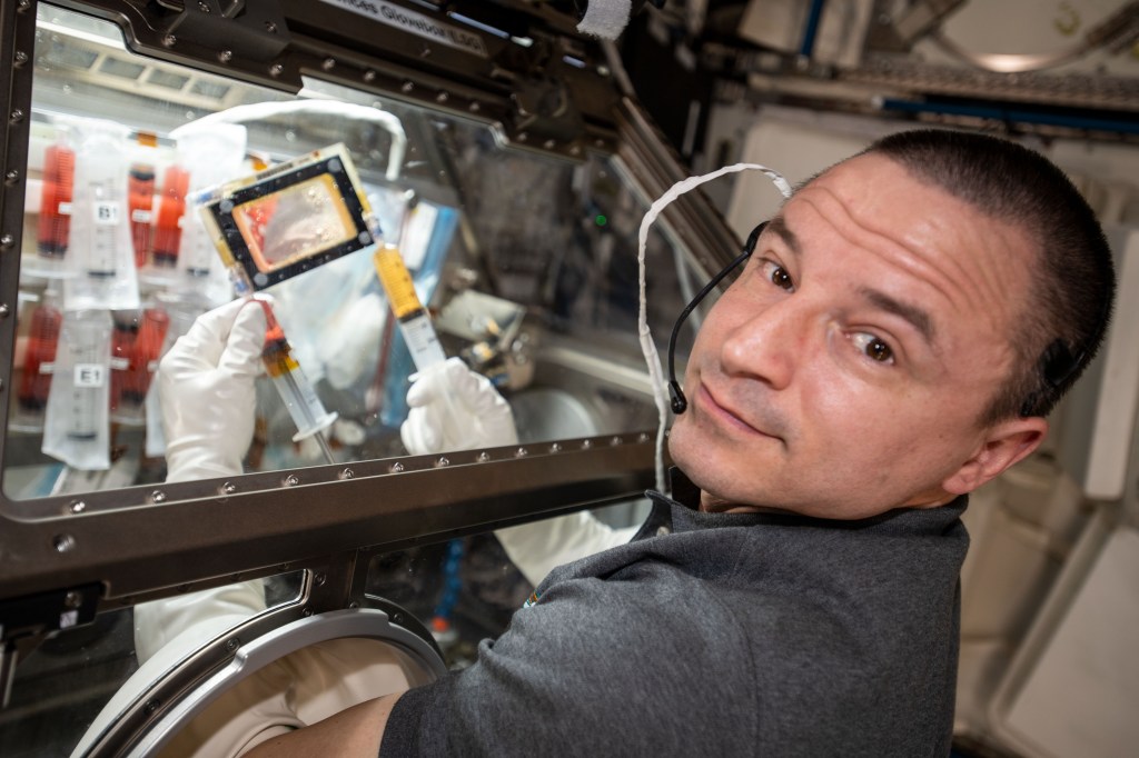 iss062e038364 (Feb. 21, 2020) --- NASA astronaut and Expedition 62 Flight Engineer Andrew Morgan conducts research operations inside the Life Sciences Glovebox, a facility that enables a variety of space biology investigations aboard the International Space Station. Morgan was specifically investigating the differences in bone biology in microgravity versus on Earth for the OsteoOmics-02 experiment.