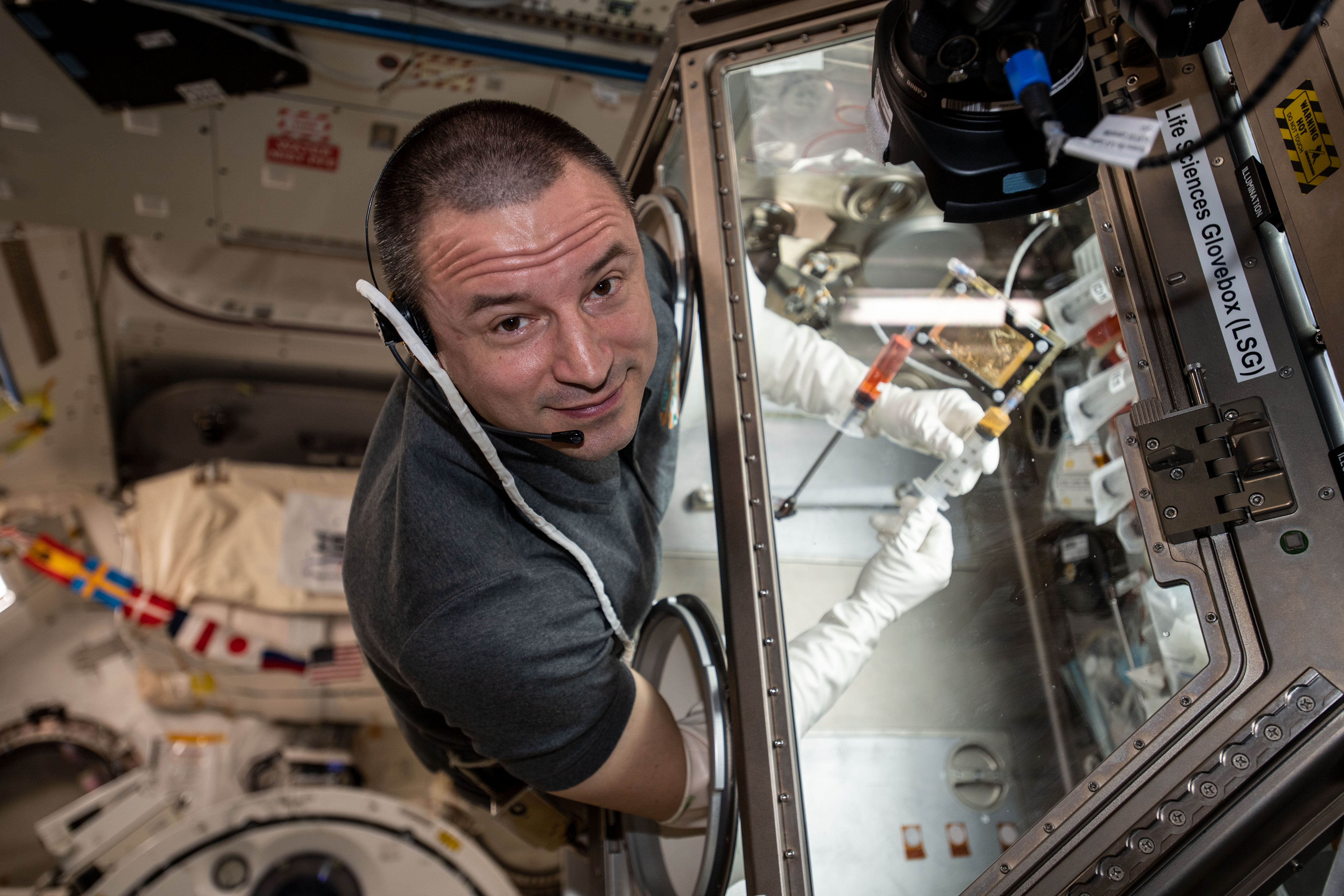 iss062e038358 (Feb. 25, 2020) --- NASA astronaut and Expedition 62 Flight Engineer Andrew Morgan conducts research operations inside the Life Sciences Glovebox, a facility that enables a variety of space biology investigations aboard the International Space Station. Morgan was specifically investigating the differences in bone biology in microgravity versus on Earth for the OsteoOmics-02 experiment.