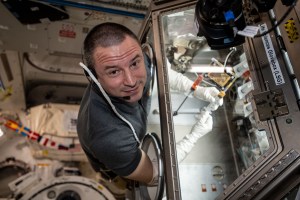 iss062e038358 (Feb. 25, 2020) --- NASA astronaut and Expedition 62 Flight Engineer Andrew Morgan conducts research operations inside the Life Sciences Glovebox, a facility that enables a variety of space biology investigations aboard the International Space Station. Morgan was specifically investigating the differences in bone biology in microgravity versus on Earth for the OsteoOmics-02 experiment.