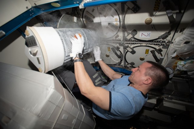 iss062e105761 (March 23, 2020) --- NASA astronaut and Expedition 62 Flight Engineer Andrew Morgan retrieves gut microbe samples from a science freezer for the Rhodium Space Microbiome experiment to understand how microgravity enriches or depletes the microbes that affect astronaut health.