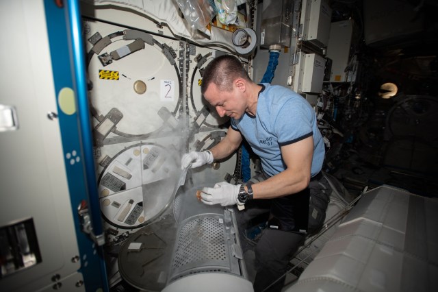 iss062e105756 (March 23, 2020) --- NASA astronaut and Expedition 62 Flight Engineer Andrew Morgan retrieves gut microbe samples from a science freezer for the Rhodium Space Microbiome experiment to understand how microgravity enriches or depletes the microbes that affect astronaut health.
