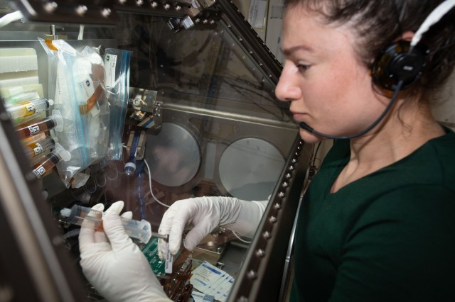 iss062e115355 (March 26, 2020) --- NASA astronaut and Expedition 62 Flight Engineer Jessica Meir conducts cardiac research inside the Life Sciences Glovebox, a biology research facility located in Japan's Kibo laboratory module. The Engineered Heart Tissues investigation is exploring cardiac function in weightlessness that may provide new drug developments for astronauts and Earthlings.