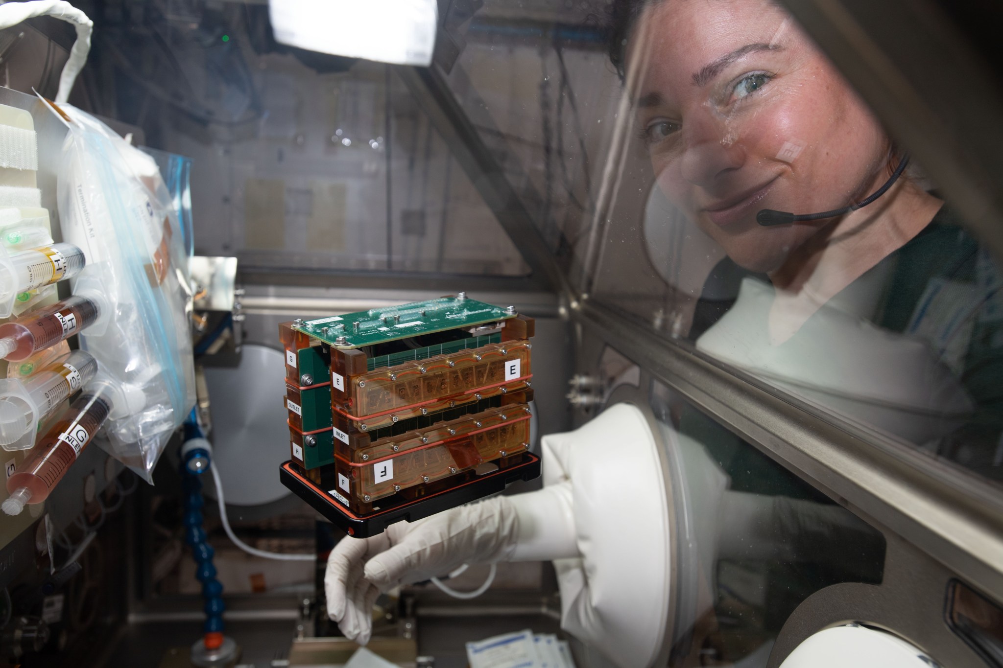 In an image taken from inside an enclosed glovebox aboard the International Space Station, a structure with orange-brown sides and a green top floats inside the glovebox in the center of the image. The box has several stickers with labels. To the right, NASA astronaut Jessica Meir can be seen through the clear side of the glovebox wearing a headset and smiling as she looks at the camera. 
