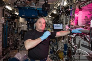 NASA astronaut Scott Tingle eats a piece of lettuce harvested as part of the ongoing space crop study VEG-03. The botany experiment uses the Veggie plant growth facility to cultivate a type of cabbage, lettuce and mizuna which are harvested on-orbit with some samples consumed by astronauts and others returned to Earth for testing.
