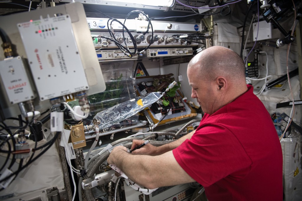 NASA astronaut Scott Tingle checks on red lettuce growing inside the Columbus laboratory module's Veggie facility for the Veg-03 experiment.