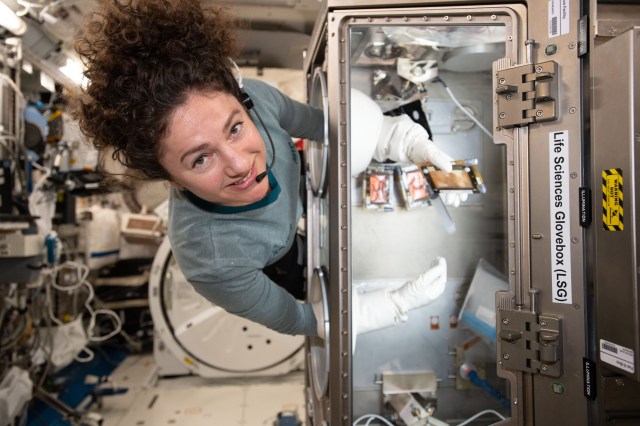 iss062e075249 (March 3, 2020) --- NASA astronaut and Expedition 62 Flight Engineer Jessica Meir swaps media that nourishes bone samples inside the Life Science Glovebox located in JAXA's (Japan Aerospace Exploration Agency) Kibo laboratory module. The experiment compares the microgravity-exposed samples to magnetically levitated samples on Earth for insights into bone ailments such as osteoporosis.