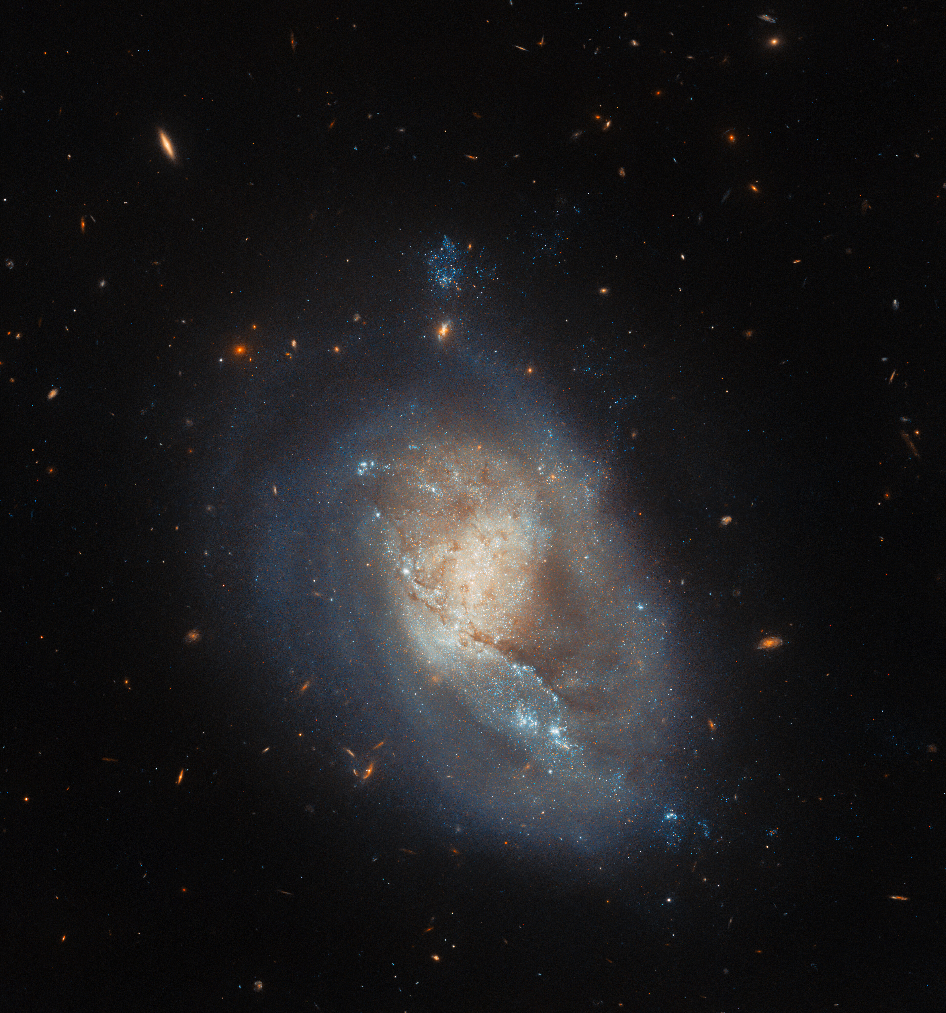 A dwarf spiral galaxy. The center is not particularly bright and is covered by some dust, while the outer disk and halo wrap around as if swirling in water. Across the face of the galaxy, an arc of brightly glowing spots marks areas where new stars are forming. The galaxy is surrounded by tiny, distant galaxies on a dark background.