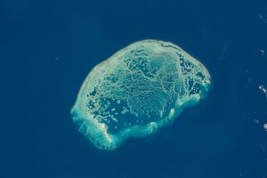 iss070e101440 (Feb. 24, 2024) -- Off the northern coast of Yucatan, Mexico, Scorpion Reef was pictured from the International Space Station as it orbited 260 miles above. The largest in the southern Gulf of Mexico, five main vegetated islands stand among it.